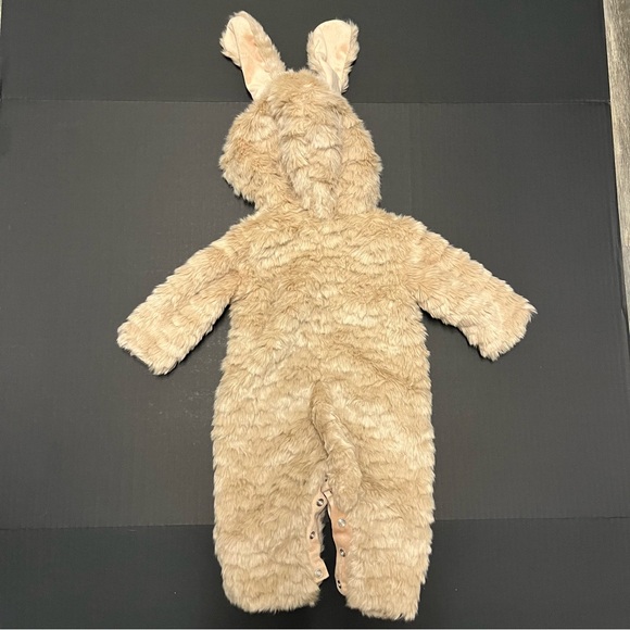 Pottery Barn Baby Labradoodle Dog Halloween Costume Size 0-6 months - Picture 5 of 8